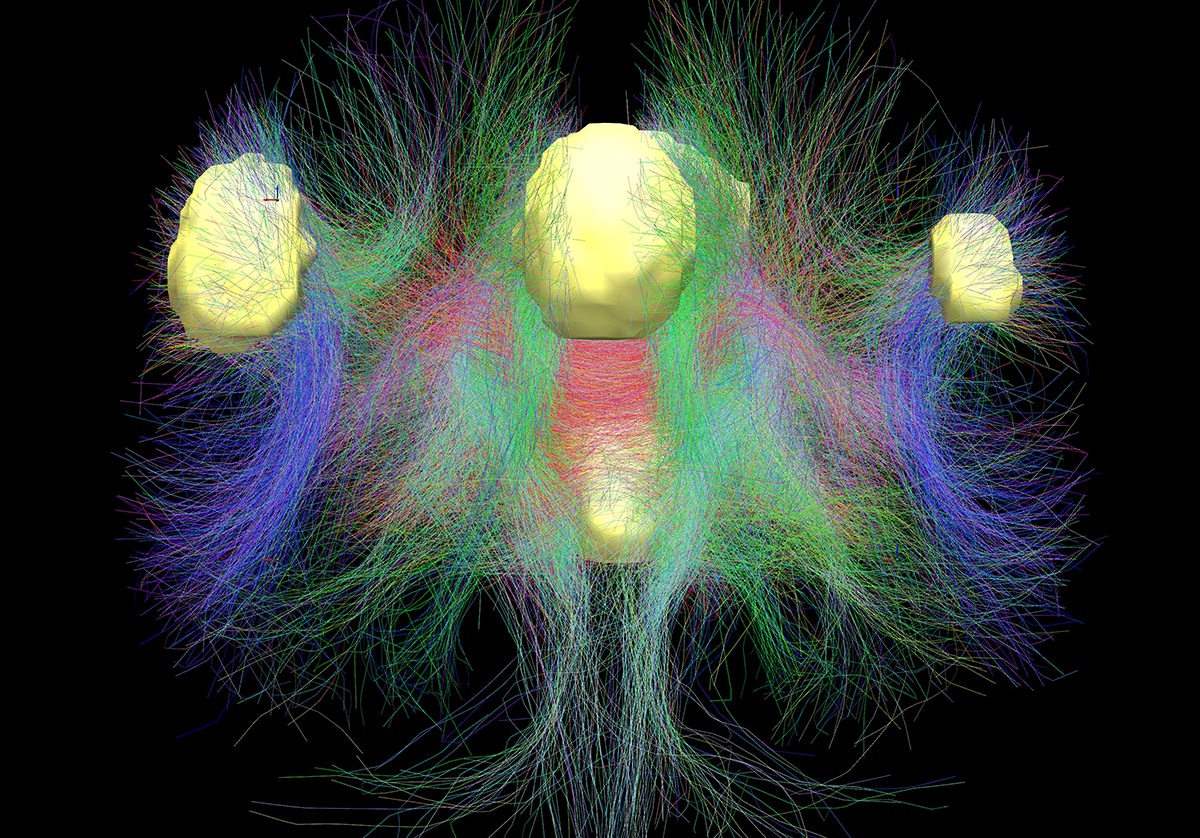 Кракен новый сайт