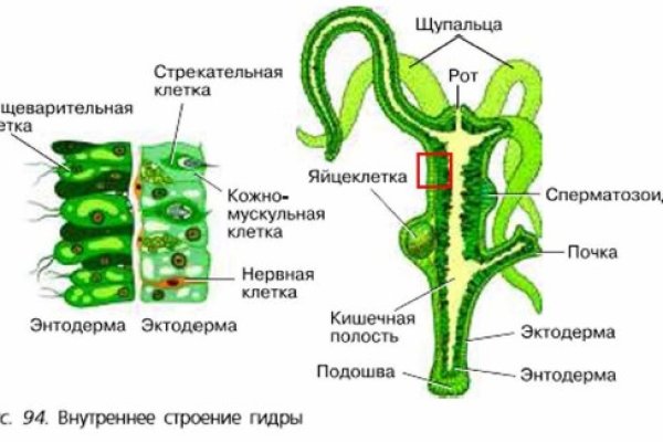 Регистрация на сайте кракен