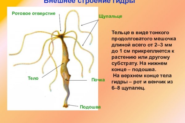 Ссылка в магазин на кракен