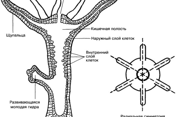 Кракен маркет что это такое
