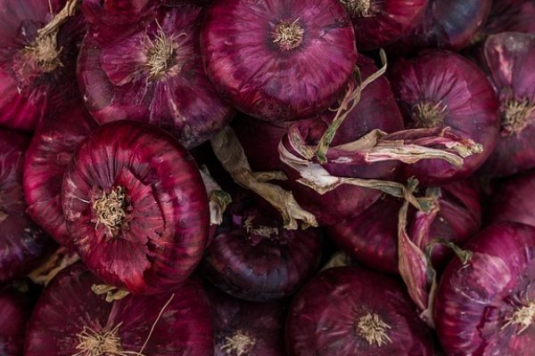 Kraken market ссылка